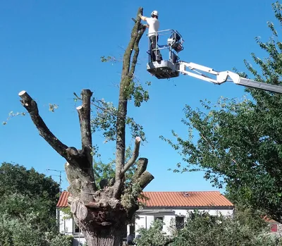 Coupe en hauteur à la nacelle