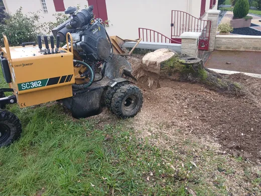 Rogneuse SC362 en pleine fraisage de souche